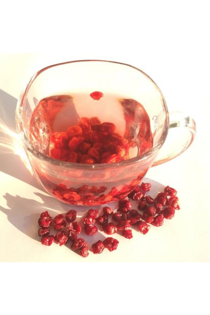 Лимонник китайский / Шизандра | Лимонник китайський / Шизандра | Schisandra chinensis