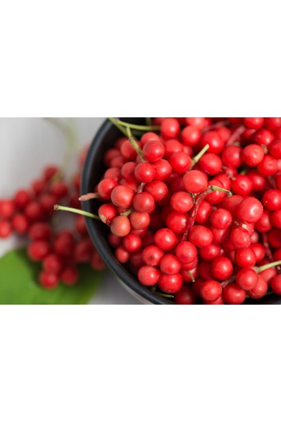 Лимонник китайский / Шизандра | Лимонник китайський / Шизандра | Schisandra chinensis