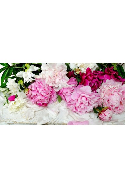 Квітуча півонія трав’яниста: яскравий акцент у весняному та літньому саду.