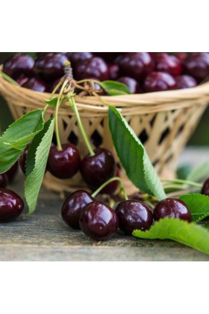 Сладкие черные плоды черешни Китаевская черная.