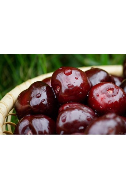 Яскраві ягоди черешні Мелітопольської для десертів.