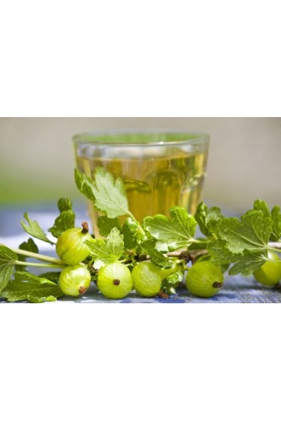 Аґрус Російський жовтий (середній)