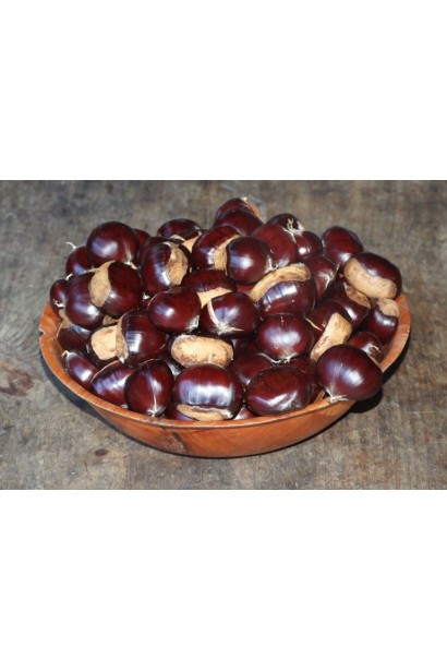 Коричневые орехи каштана съедобного