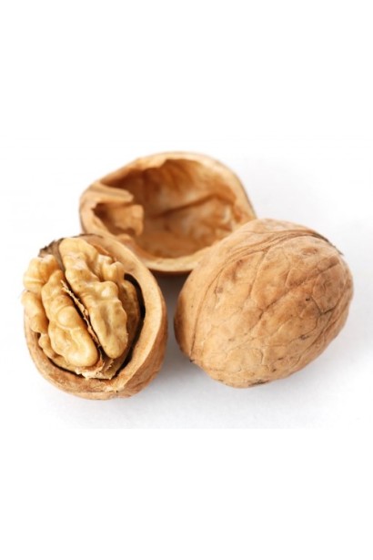 Горіх волоський Кодрене - великі ядра