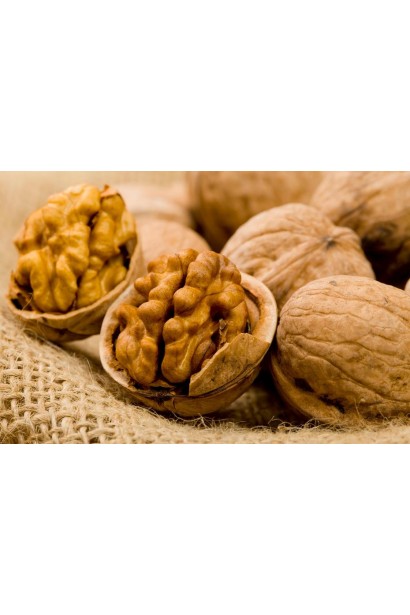 Горіх волоський Когилнічану - великі ядра
