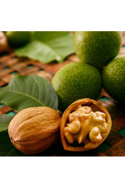 Расколотые и целые плоды ореха сорта Казака