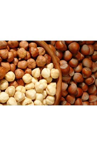 Фундук обыкновенный Галле - орехи