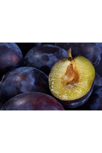 Слива Ненька – солодкі та ароматні фрукти