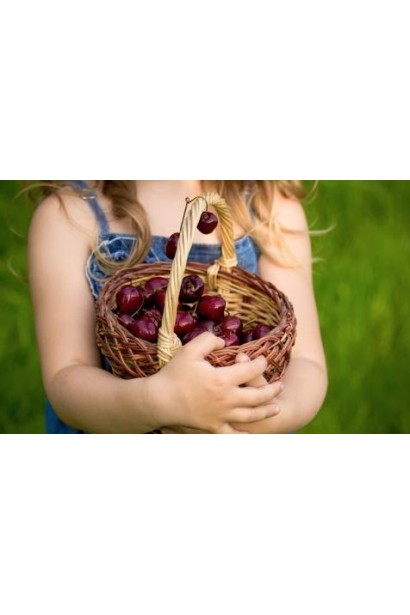 Prunus avium Dzherelo