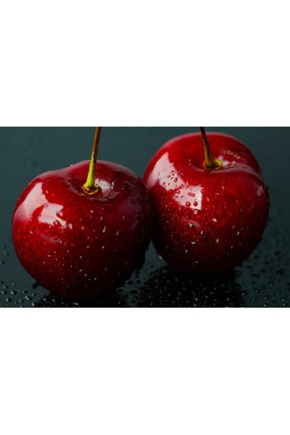 Плоди черешні Джерело з чорним кольором, раннього дозрівання.