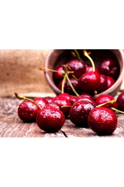 Prunus avium Yaroslavna