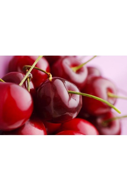 Черешня Ярославна (рання) 