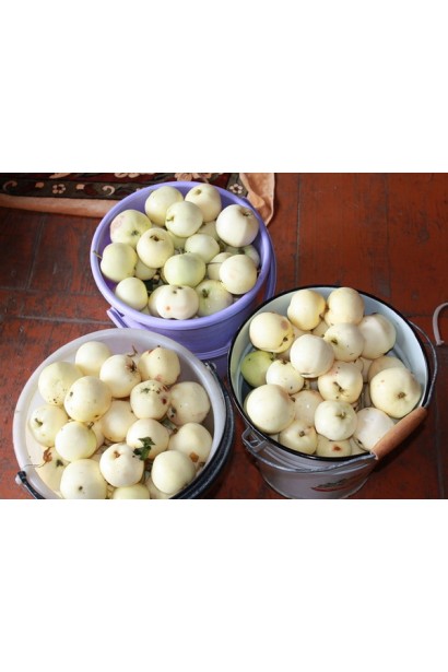 Літні яблука Папіровка — ідеальні для свіжого споживання.