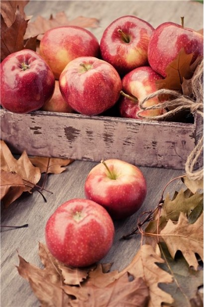 Яблуня Джонапринц із великими соковитими плодами.