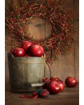 Яблуня домашня Джонапринц (зимова) | Яблоня домашняя Джонапринц (зимняя) | Malus domestica Jonaprince