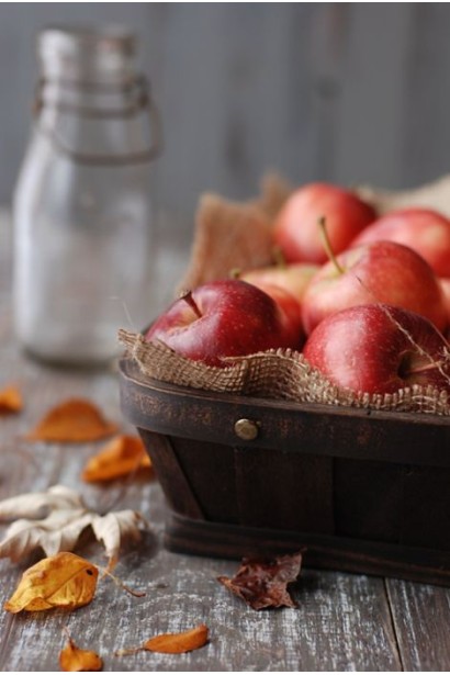 Malus domestica Jonaprince