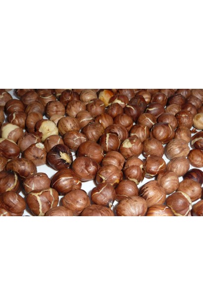 Corylus avellana Trapezundski