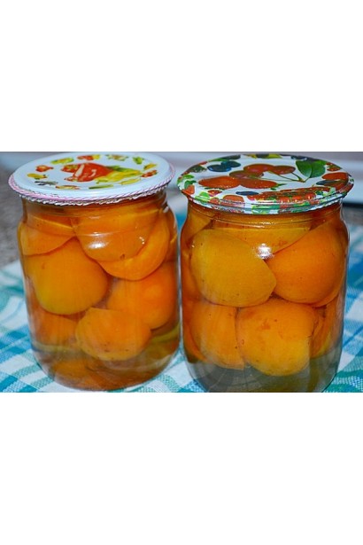 Абрикос Ювілейний ранній консервація