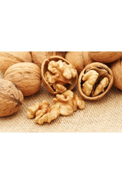 Расколотый плод грецкого ореха с ядром и скорлупой