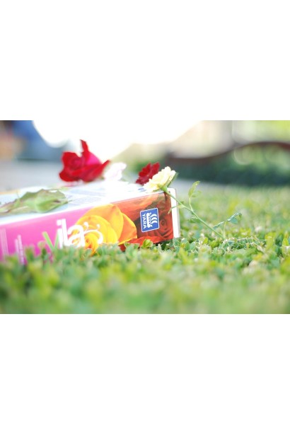 Удобрение для роз Vila Yara