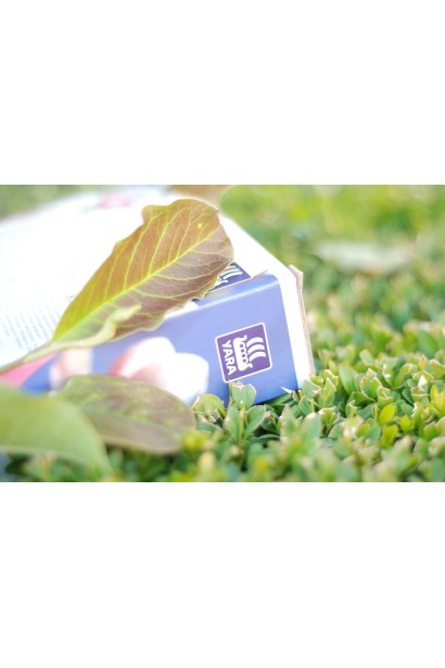 Добрива для магнолій Vila Yara