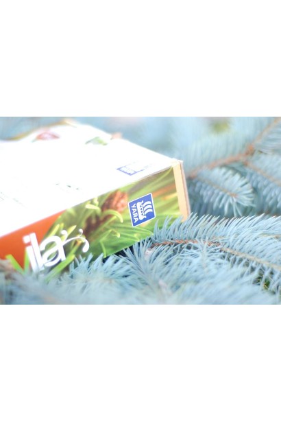 Добриво для хвойних рослин (весна-літо) Super Scandic Vila Yara