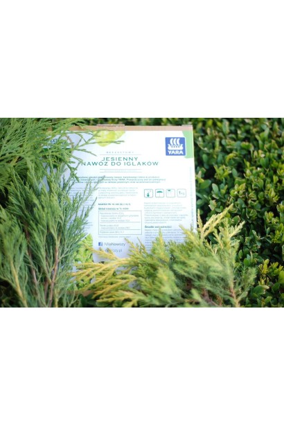 Добриво для хвойних (осінь) 