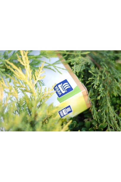 Добриво для хвойних (осінь) Vila Yara