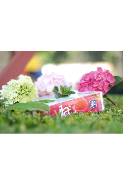 Удобрение для рододендронов, гортензий и вересковых растений Vila Yara