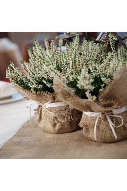 Верес Валерія квіткова композиція