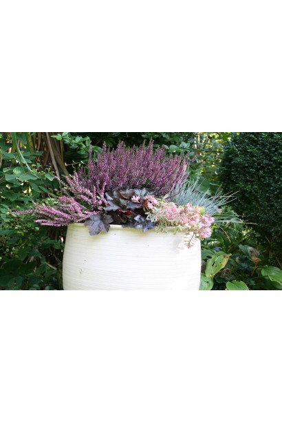 Верес Lianne ландшафтний дизайн