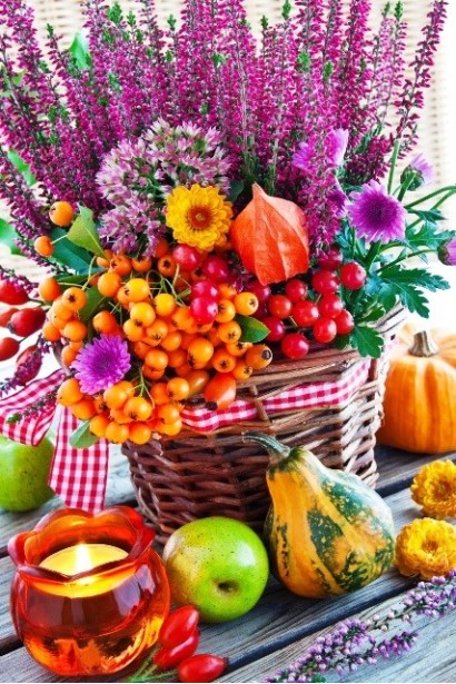 Верес Анна-Софія в квітковій композиції