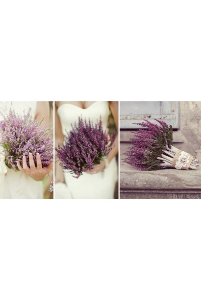 Верес Anna-Sofie букет