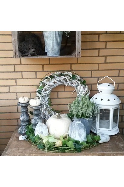 Верес Vivika декоративный многолетник