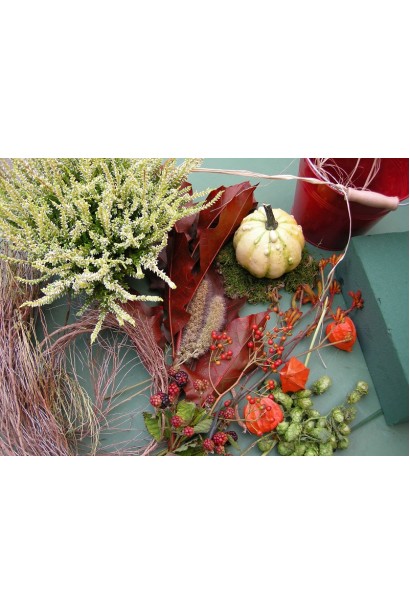 Вереск обычный Vivika