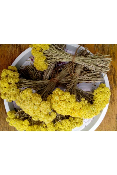 Бессмертник песчаный / Цмин сухоцвет