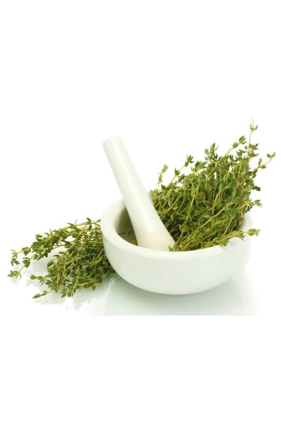 Чебрець лимонний Раста / Тим’ян | Thymus citriodorus Rasta | Тимьян лимонный Раста / Чабрец