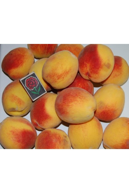 Соковиті плоди персика "Княжа Краса" з яскраво-жовтою м’якотт