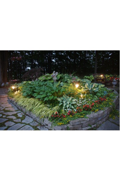 Садова хоста Кантрі Маус – ідеальний вибір для тіньових ділянок.