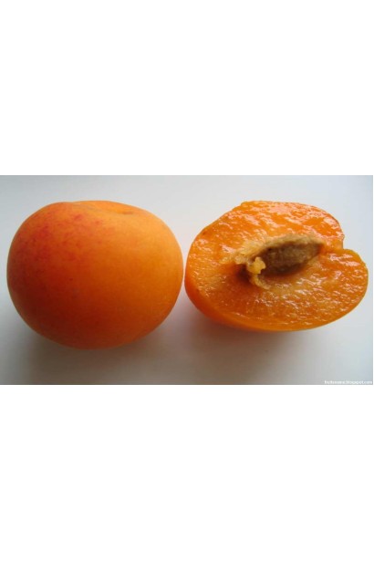 Абрикос Мелітопольський м'якоть плодів