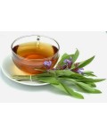 Шалфей лекарственный Пурпуресценс | Шавлія лікарська Пурпуресценс | Salvia officinalis Purpurascens