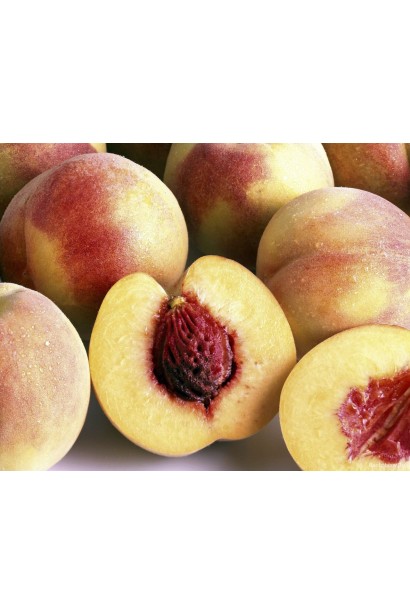 Київський Ранній — сорт персика із солодкою та ароматною м’якоттю