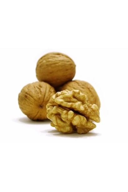 Горіх грецький Мирослава (щеплений) - великі ядра