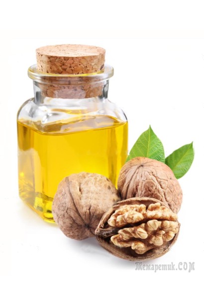 Горіх грецький Мирослава (щеплений)