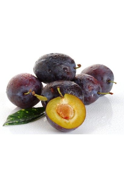 Prunus domestica Kardinal