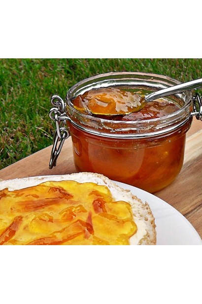 Слива домашня Золота Крапля (пізня)