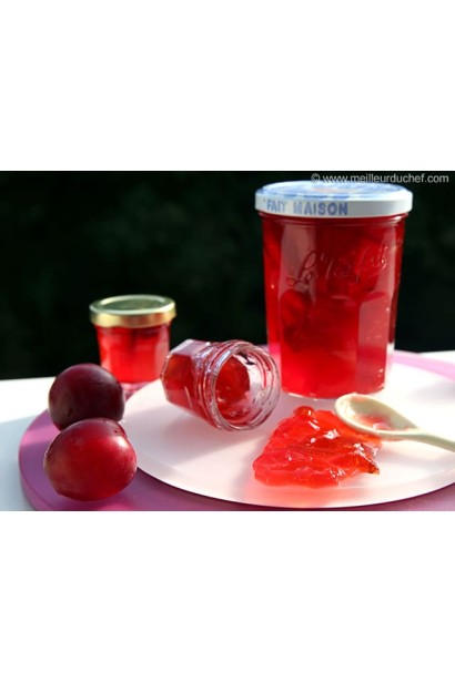 Prunus domestica Golden Drop (late)