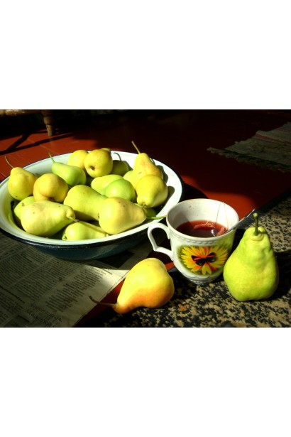 Груша Масляна зимова