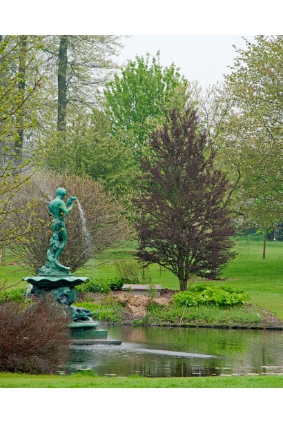 Багряник японський Ротфутчс в ландшафті