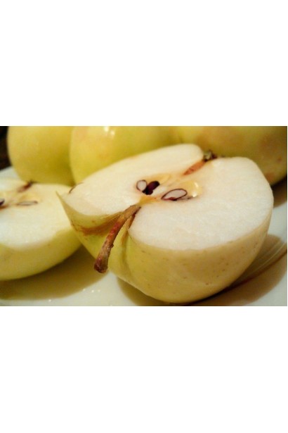 Яблуня домашня Білий Налив (літня)